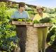 Oprah Winfrey Turns To Farming